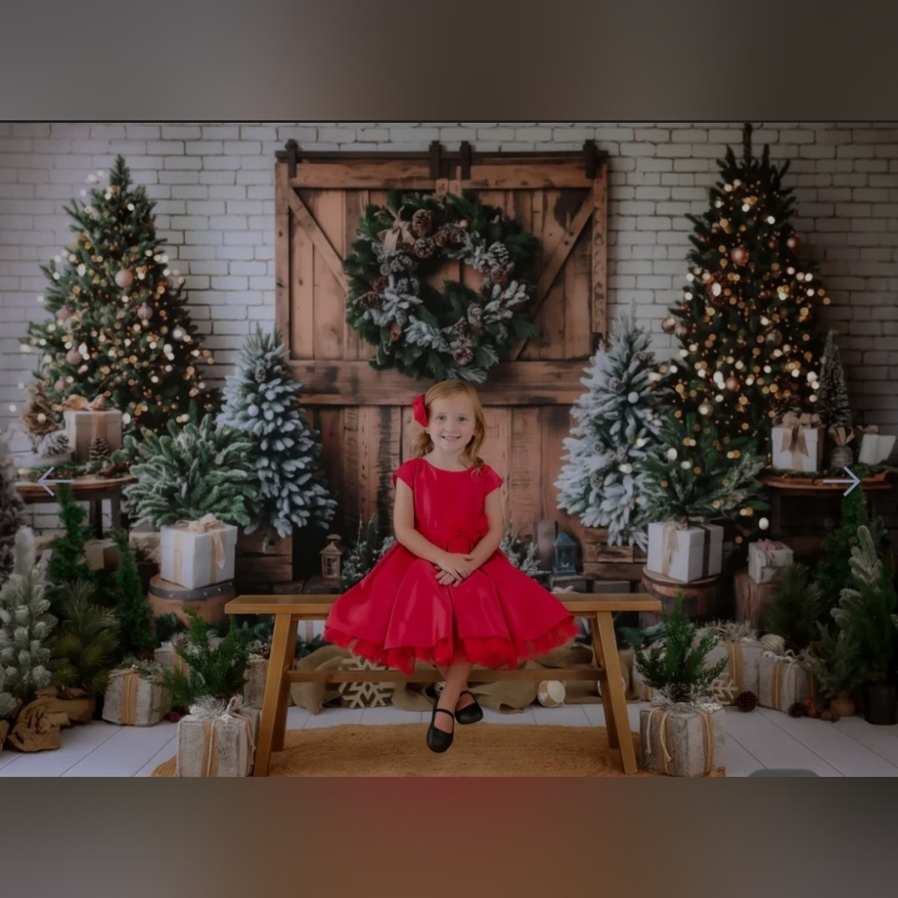Christmas backdrop 10x8.2